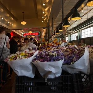 Meet your Posher, Natasha